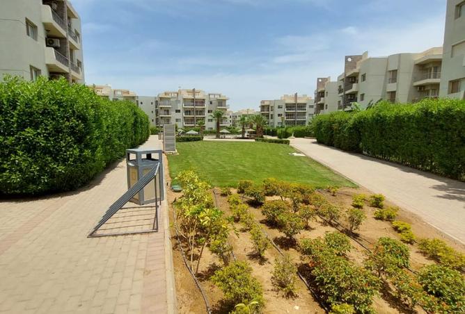 8078344 - Property Image 3