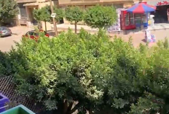 8079046 - صورة العقار 2