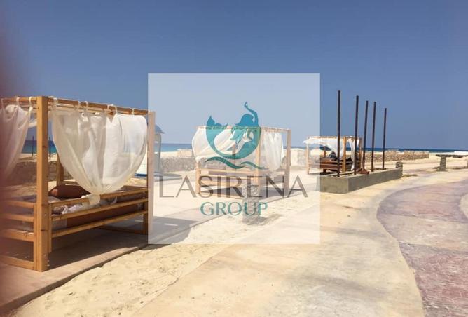 8080620 - صورة العقار 3