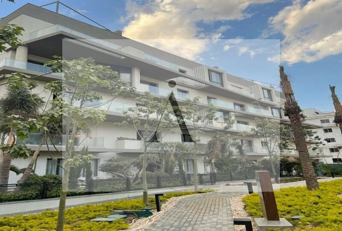 8080477 - صورة العقار 3