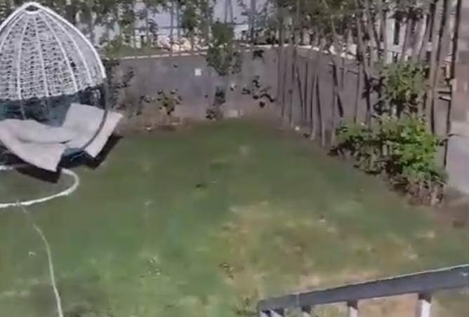 8080803 - صورة العقار 3