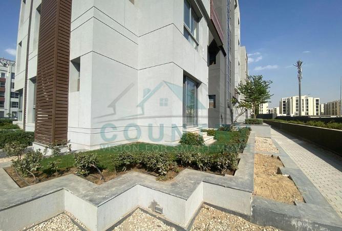 8250389 - Property Image 3