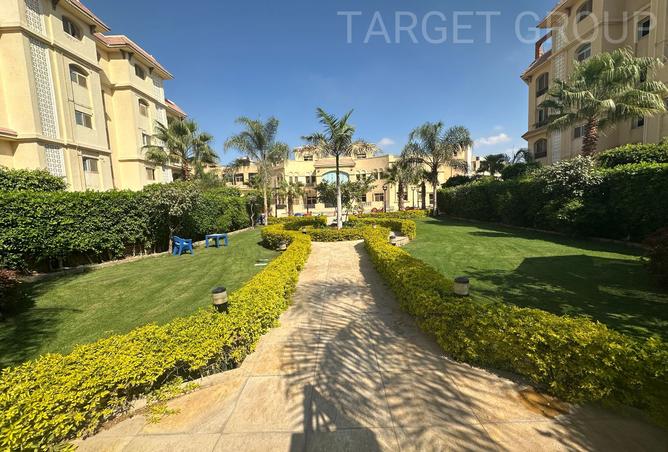 8080919 - صورة العقار 3