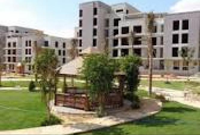 8081272 - صورة العقار 2