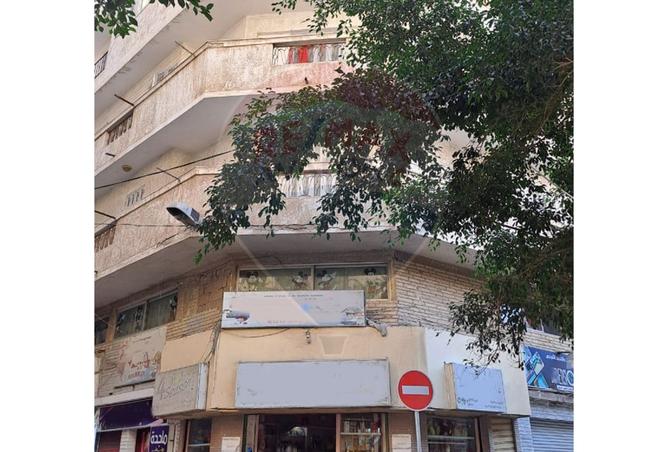 8081365 - Property Image 3