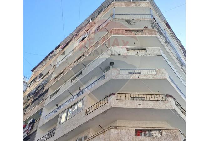 8081365 - Property Image 2