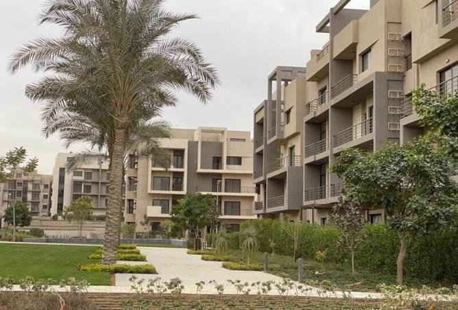 8081675 - Property Image 3