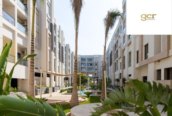 8281730 - Property Image 2