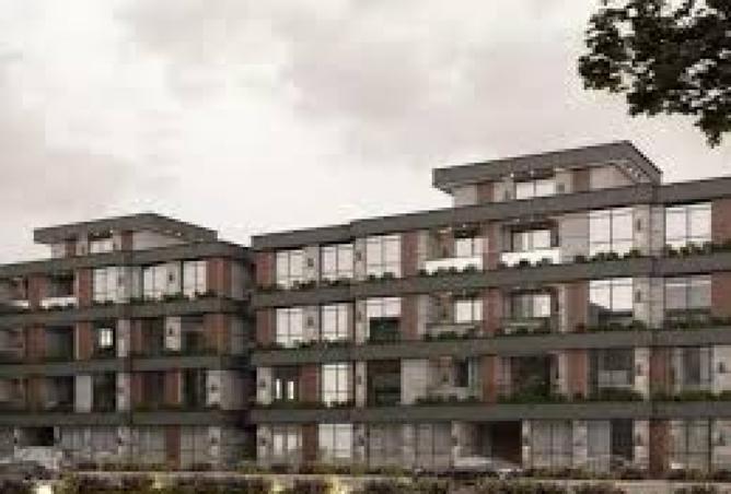 8083074 - Property Image 3