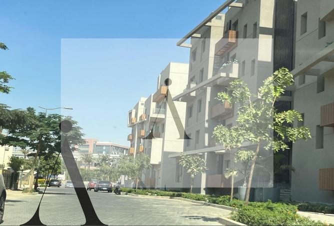 8083234 - Property Image 3