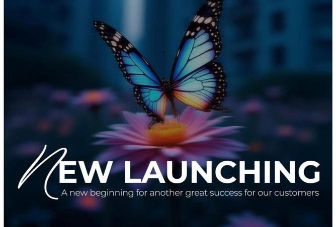 8084090 - Property Image 3