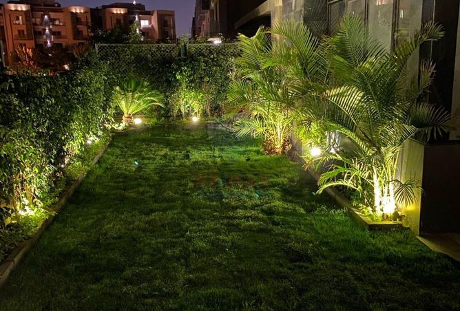 8084179 - Property Image 3