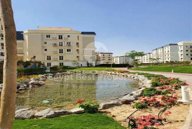 8128121 - Property Image 2