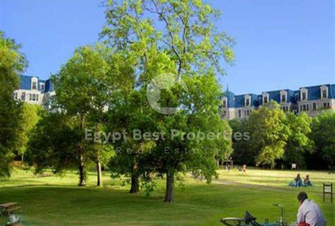 8128121 - Property Image 3