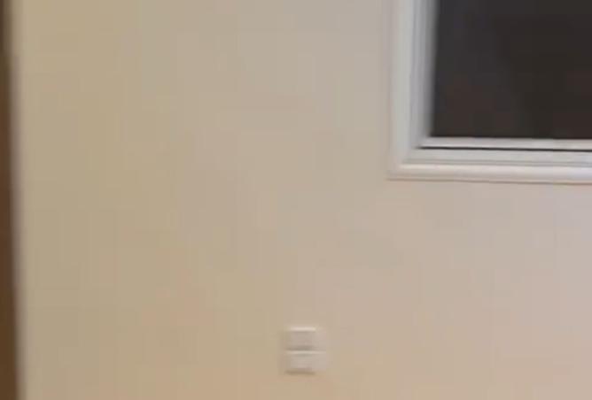 8086327 - Property Image 3