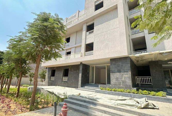 8088350 - Property Image 2