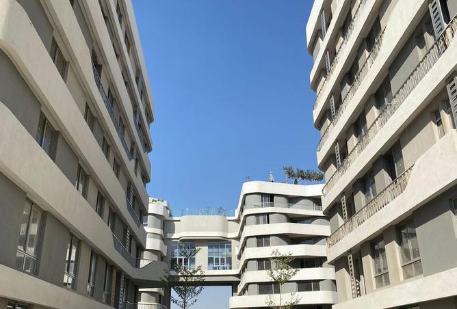 8095804 - صورة العقار 3