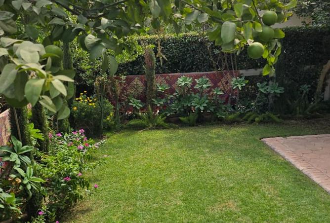 8090317 - صورة العقار 2