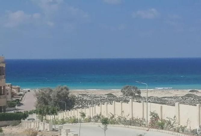 8097239 - Property Image 3