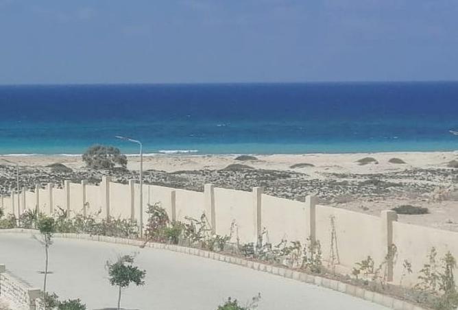 8097239 - Property Image 2