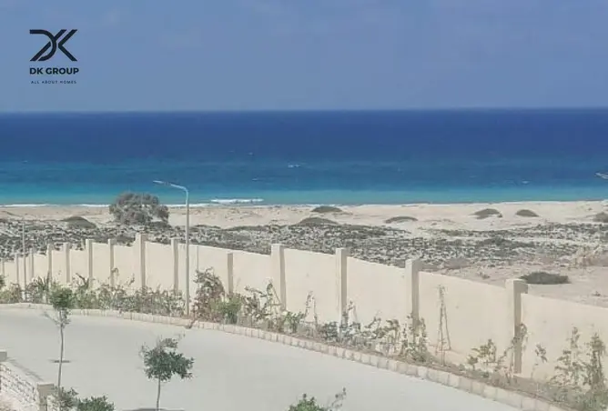 8097239 - صورة العقار 2