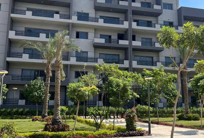 8091309 - صورة العقار 3