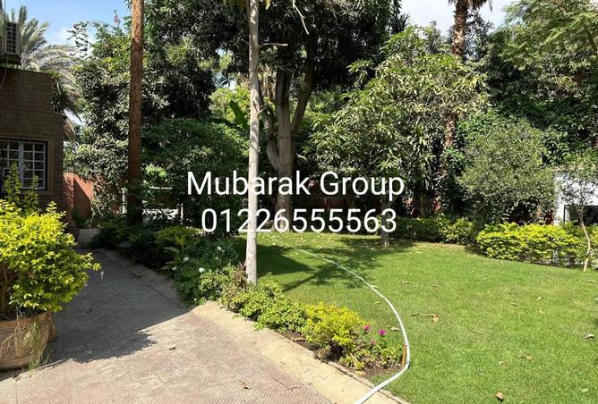 8091898 - صورة العقار 2