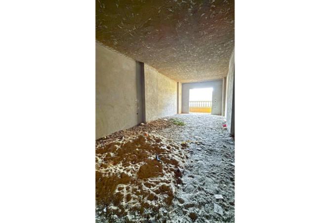 8093248 - Property Image 2