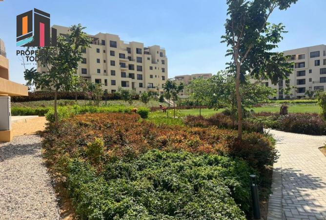 8093263 - الصورة الرئيسية للعقار