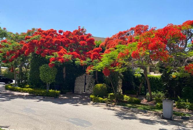 8093671 - Property Main Image