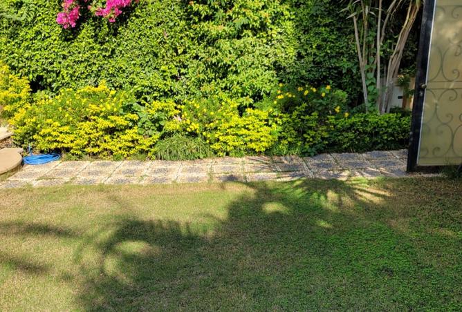 8093671 - Property Image 3