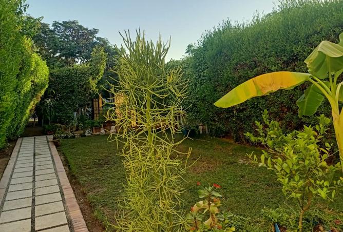 8093673 - صورة العقار 3