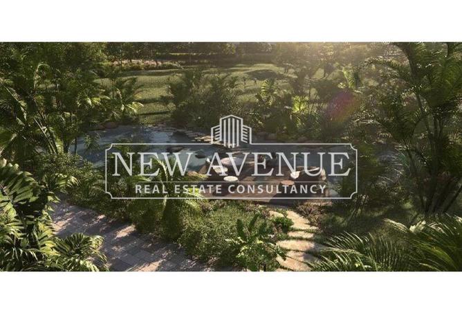 8245120 - صورة العقار 3