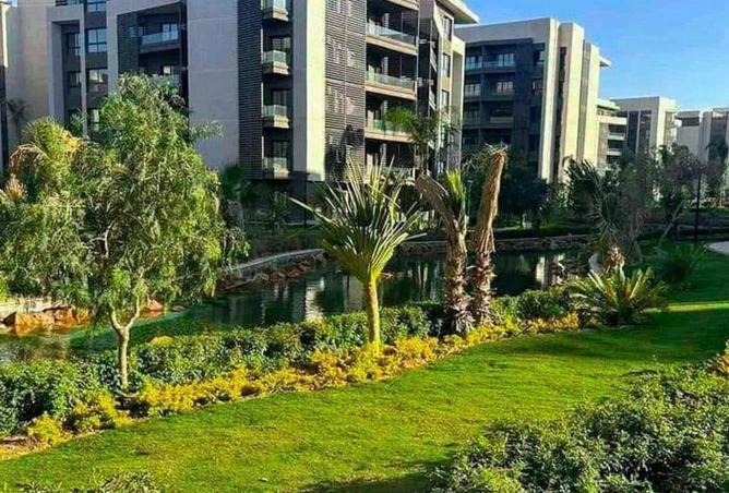 65150930 - Property Image 3