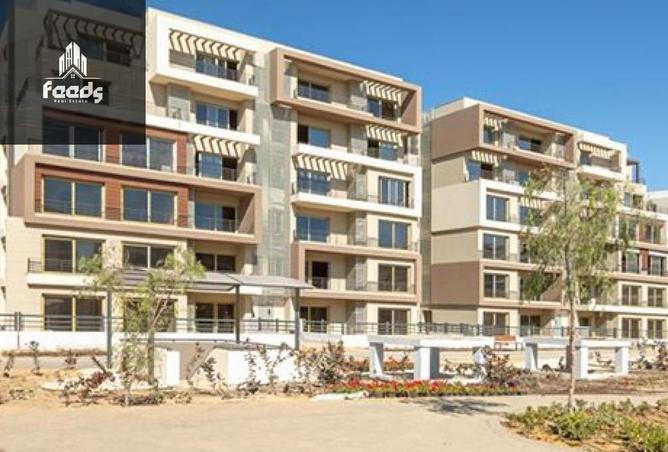 8099893 - Property Image 3