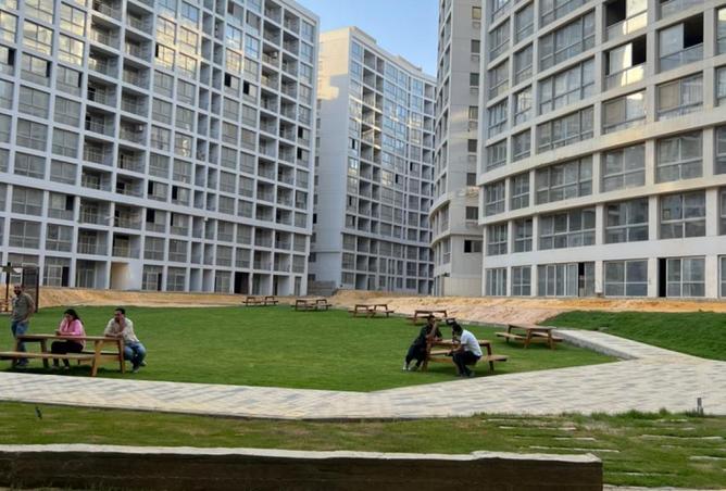 8106684 - صورة العقار 3