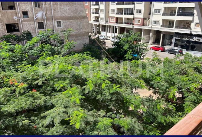 8094518 - الصورة الرئيسية للعقار