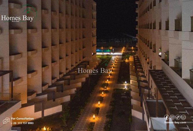 8095037 - Property Image 2