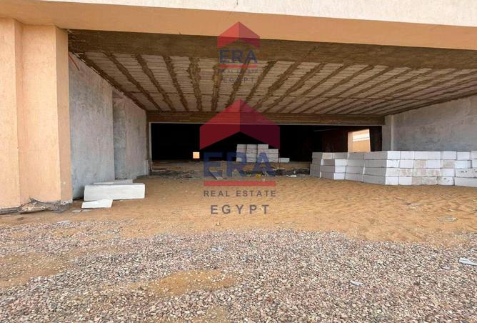 8094968 - Property Image 3