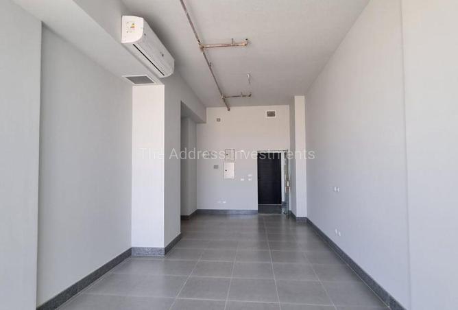 8095269 - Property Image 3