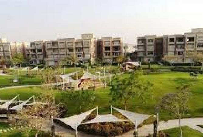 8095287 - صورة العقار 3