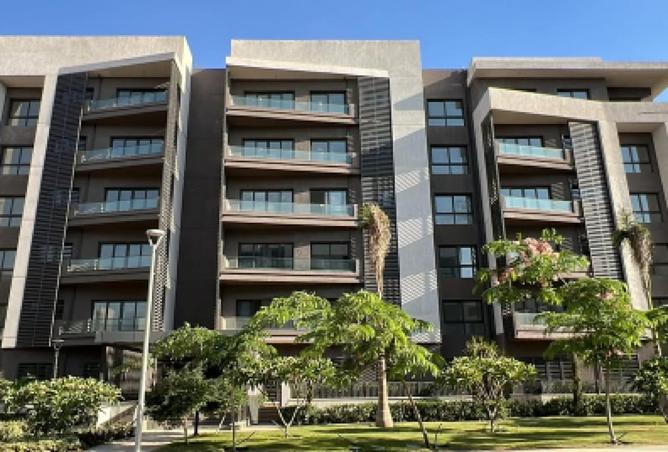 8095373 - Property Image 3