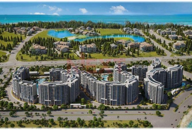 8095694 - صورة العقار 3