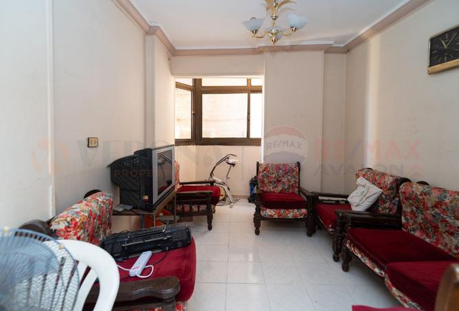 8096037 - Property Image 3