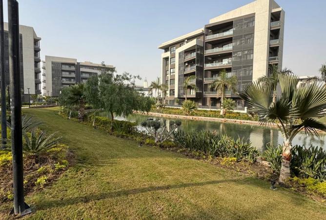 8096399 - Property Image 3