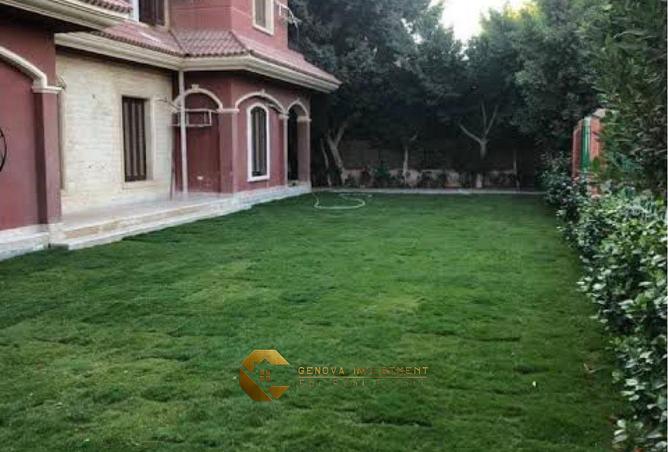 8097187 - صورة العقار 3