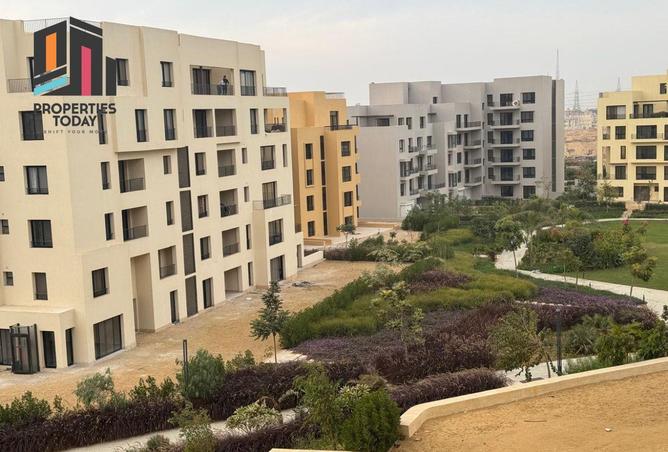 8097011 - صورة العقار 3