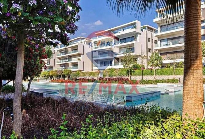 8097207 - الصورة الرئيسية للعقار