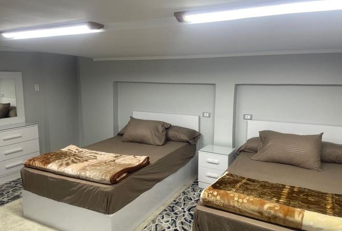 8097190 - صورة العقار 3