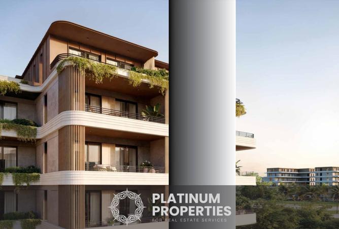 8276746 - Property Image 3